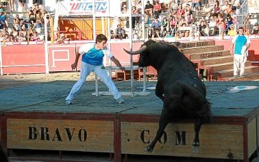 Los mejores toros y vacas, en Villanueva